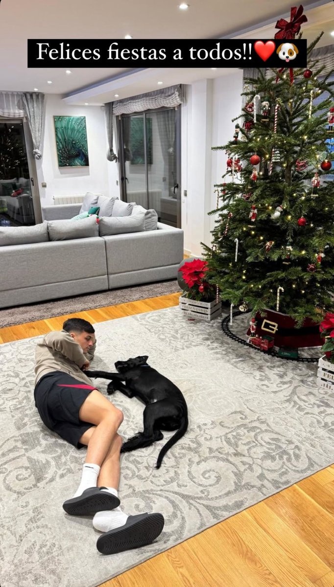 別人曬女友你曬狗，佩德里社媒曬照與愛(ài)犬共度平安夜??
                <div   id=